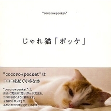 じゃれ猫「ポッケ」 (cocoro*pocket)