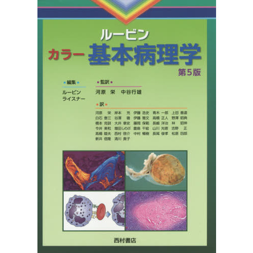 カラー　ルービン病理学 カラー ルービン病理学 臨床医学への基盤 - 西村書店