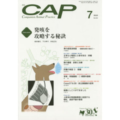 ＣＡＰ　３１３