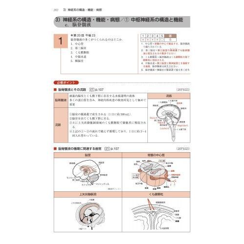 言語聴覚士国家試験必修ポイントＳＴ基礎科目 ２０２４ 通販｜セブン 