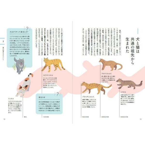 教養としての猫 思わず人に話したくなる猫知識１５１ 通販｜セブン