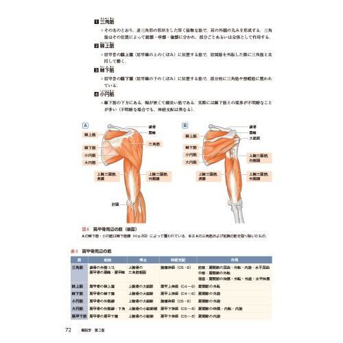 解剖学　第２版