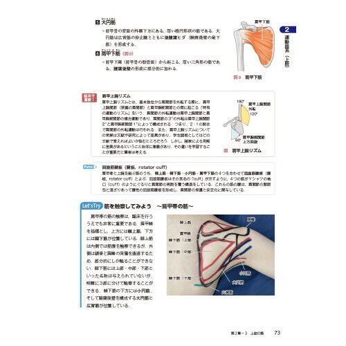 解剖学　第２版