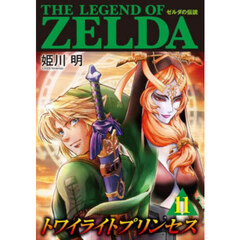 ゼルダの伝説トワイライトプリンセス　１１