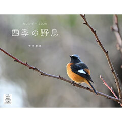 カレンダー２０２６四季の野鳥
