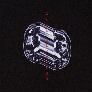 ֥ͥåȥåԥ󥰤㤨CELLDIVISIONפβǤʤ2,530ߤˤʤޤ