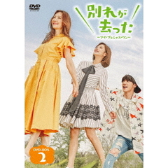 別れが去った ～マイ・プレシャス・ワン～ DVD-BOX 2（ＤＶＤ）