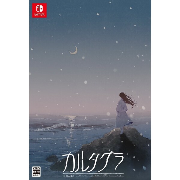 ֥ͥåȥåԥ󥰤㤨Nintendo Switch 륿 ǡפβǤʤ13,200ߤˤʤޤ