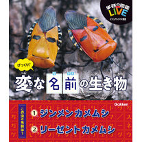 びっくり！ 変な名前の生き物