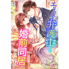 エリート弁護士と婚前同居いたします