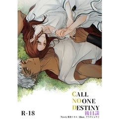 CALL NO ONE DESTINY　後日談