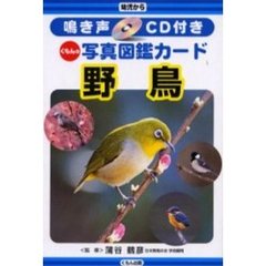 野鳥