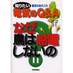 なぜ鳥は感電しないの　知りたい電気のＱ＆Ａ　電気のあれこれ