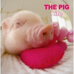 ＴＨＥ　ＰＩＧ　Ｌｉｆｅ