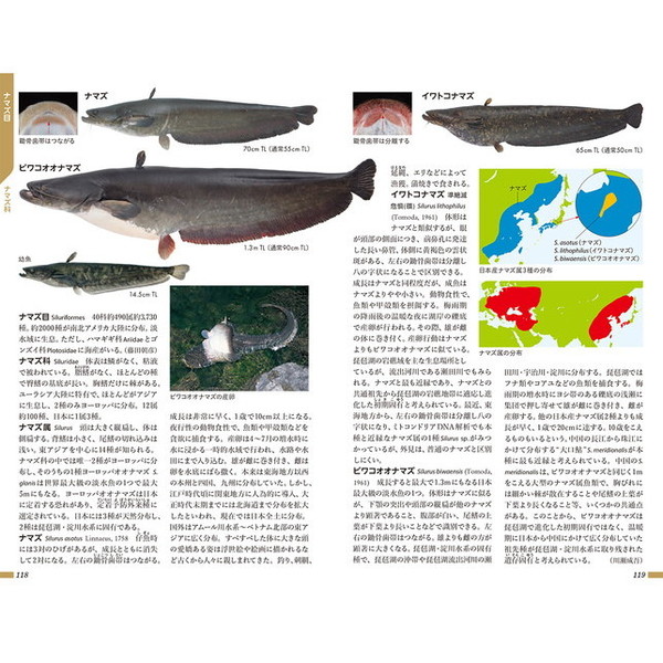 日本魚類館　精緻な写真と詳しい解説