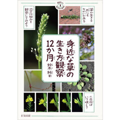 身近な草の生き方観察１２か月