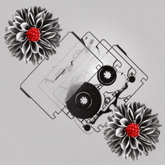 ヒトリエ - 通販｜セブンネットショッピング