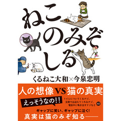 ねこのみぞしる