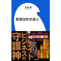 歌舞伎町弁護士（小学館新書）