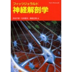 フィッツジェラルド神経解剖学
