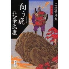 向う疵北条氏康