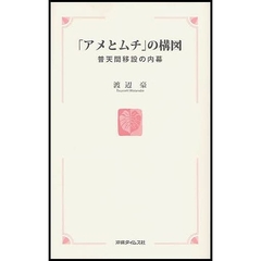 「アメとムチ」の構図　普天間移設の内幕