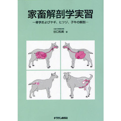 家畜解剖学実習　骨学およびヤギ、ヒツジ、子牛の解剖