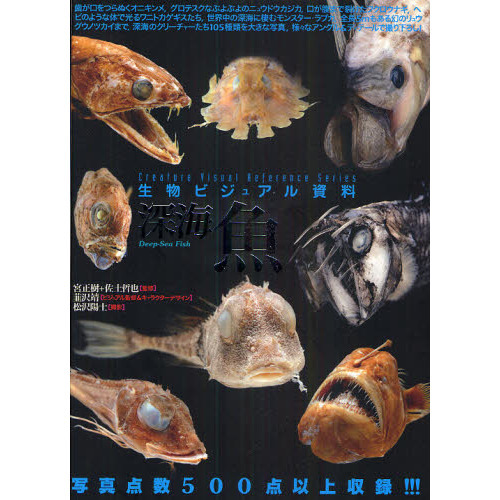 深海魚 生物ビジュアル資料 通販｜セブンネットショッピング