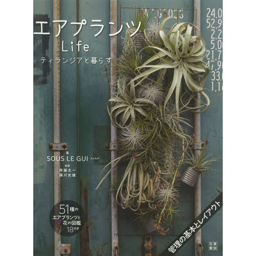 エアプランツLife ティランジアと暮らす 通販｜セブンネット