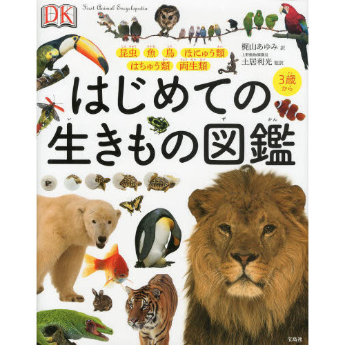 はじめての生きもの図鑑 昆虫 魚 鳥 ほにゅう類 はちゅう類 両生類