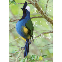 世界の美しい色の鳥