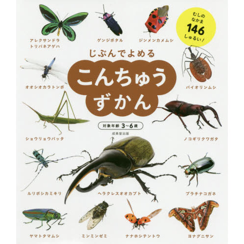 じぶんでよめるこんちゅうずかん 対象年齢3～6歳 むしのなかま146