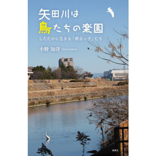 ֥ͥåȥåԥ󥰤㤨ĻγڱࡡԲûҡפפβǤʤ1,100ߤˤʤޤ