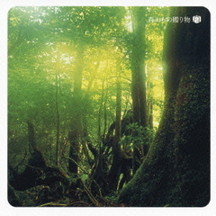 森からの贈り物