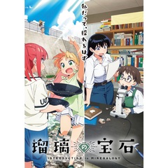 瑠璃の宝石 1 ＜完全生産限定版＞（Ｂｌｕ－ｒａｙ）