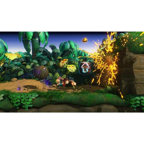 Nintendo Switch 2 ドンキーコング バナンザ 通販｜セブンネット