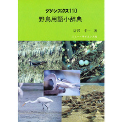 野鳥用語小辞典