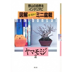 図解ミニ盆栽　野山の自然をインテリアに　２　ヤマモミジ