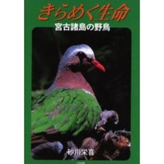 きらめく生命　宮古諸島の野鳥