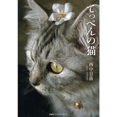 てっぺんの猫
