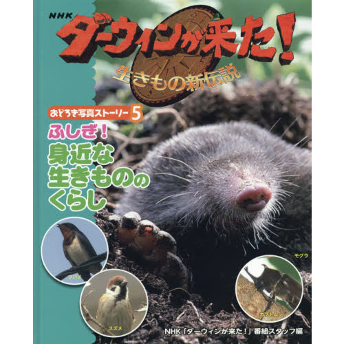 ＮＨＫダ-ウィンが来た！生きもの新伝説おどろき写真スト-リ-（全６巻セット）/ポプラ社/日本放送協会（大型本） Amazon.co.jp: NHKダ-ウィンが来た!生きもの新伝説おどろき写真スト-リ