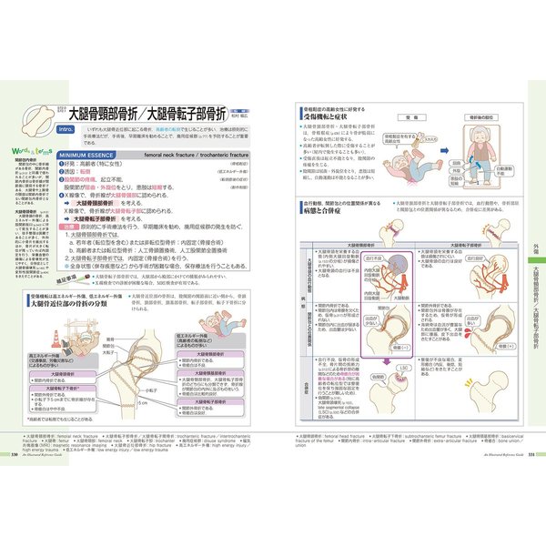 病気がみえる vol.11 運動器・整形外科 - 健康