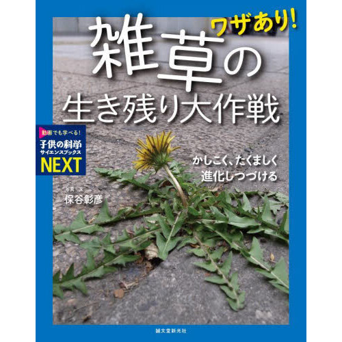 ֥ͥåȥåԥ󥰤㤨֥略ꡪĤޤʲĤŤפβǤʤ2,750ߤˤʤޤ