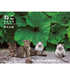 2026 岩合光昭 ねこ 卓上週めくりカレンダー