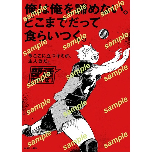 Sportiva 部活特集号 通販｜セブンネットショッピング