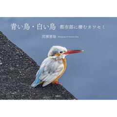青い鳥・白い鳥　都市部に棲むカワセミ