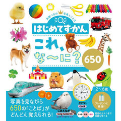 はじめてずかん これ、な～に？650