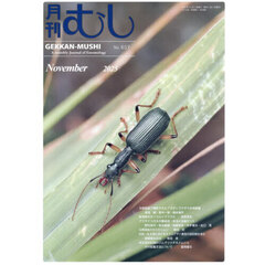 月刊むし　2025年11月号