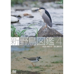 新 野鳥図鑑 第4集 水辺に棲む鳥／渚に棲む鳥（ＤＶＤ）