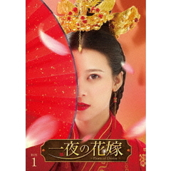 一夜の花嫁 ～Pirates of Destiny～ DVD-BOX 1（ＤＶＤ）